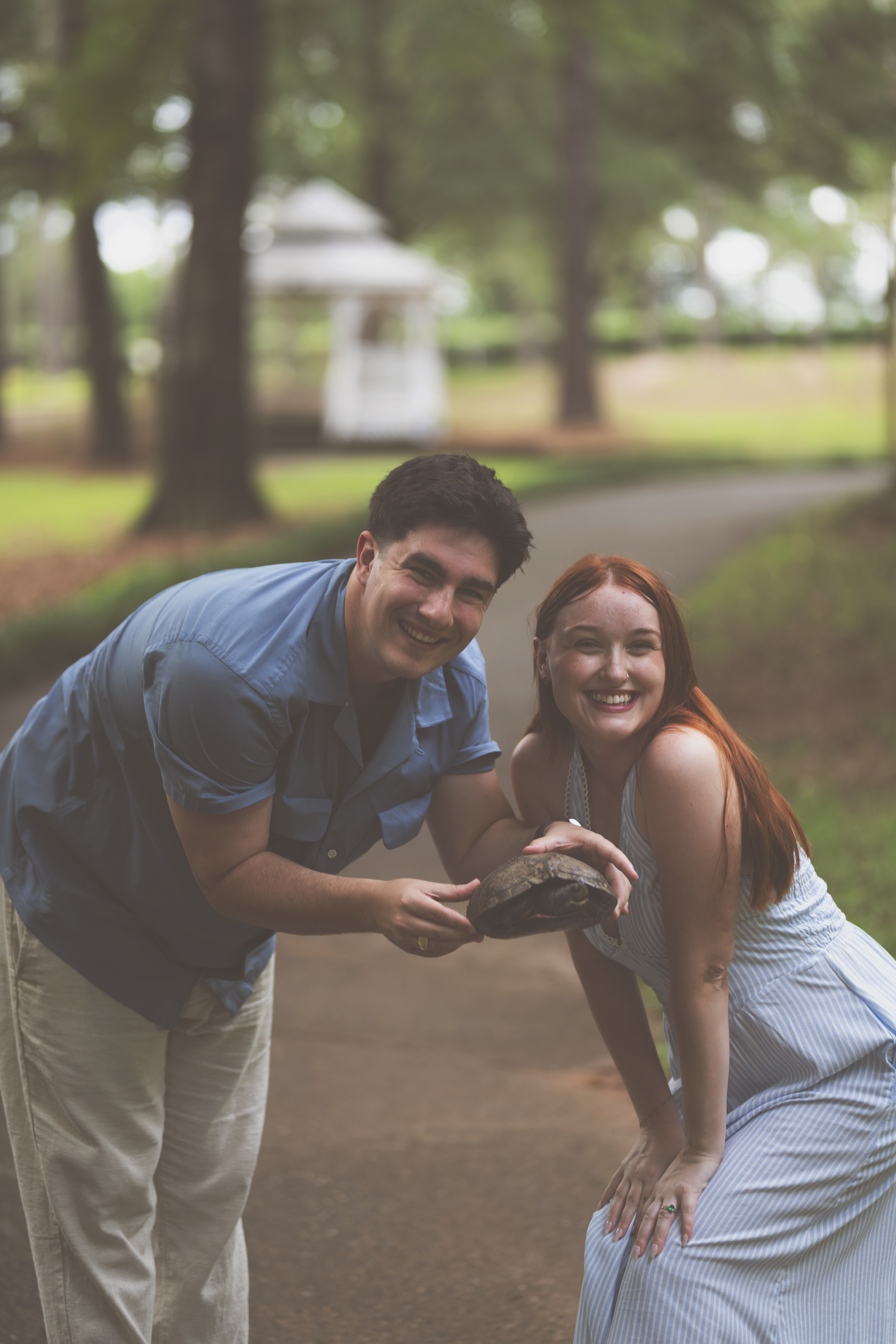 Turtling together